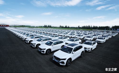 銀河l7 領克09護航奔 甬 向前 吉利淦家閱擔當?shù)?00棒亞運火炬手